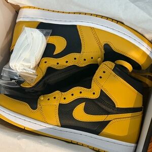 Pollen Air Jordan Retro 1 High OG